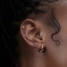 Piercing Orion/Eclair Nébuleuse