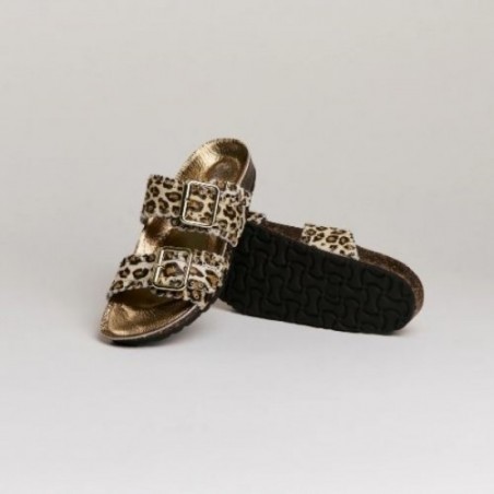 ARIANNA CROSTA QUARZO SMR