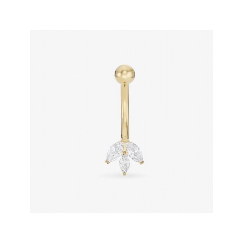 NOMBRIL FAUVE OR NEBULEUSE PARIS