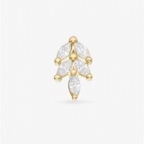 PUCE DOMINANTE NEBULEUSE PARIS