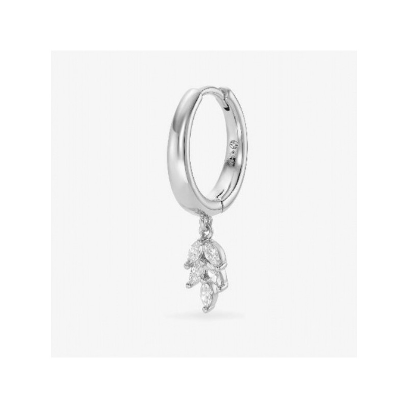 CREOLE FAUVE BLANCHE NEBULEUSE PARIS