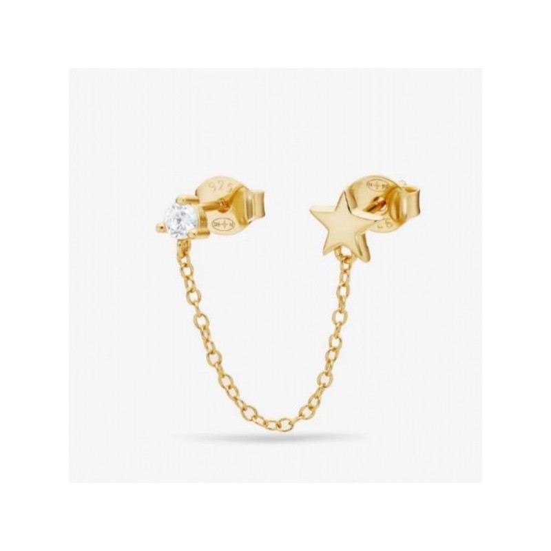 PUCE ARLEQUIN NEBULEUSE PARIS