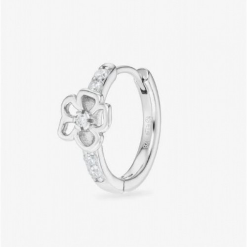 BOUCLE NARCISSE NEBULEUSE...